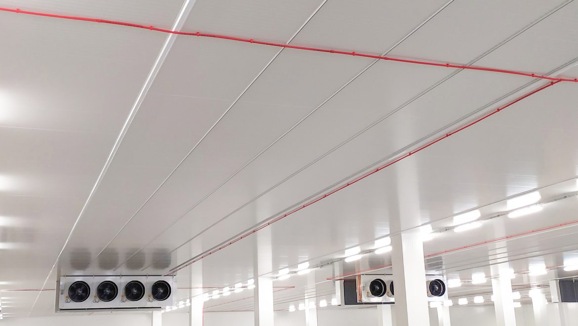 Impianti tecnologici performanti per Trans Lusia consorzio autotrasportatori e I.T.A.L.-T.V.T. S.r.l